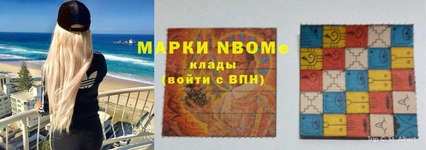 прущие грибы Балабаново