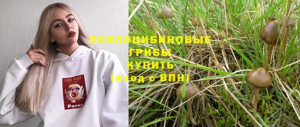 прущий лед Арсеньев