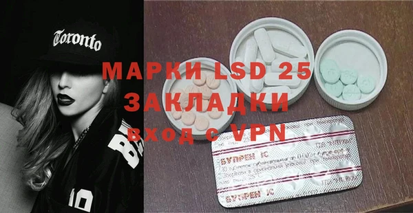 прущие грибы Балабаново