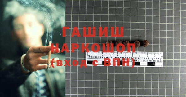 прущие грибы Балабаново